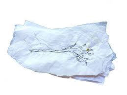 Un confetti sur la branche