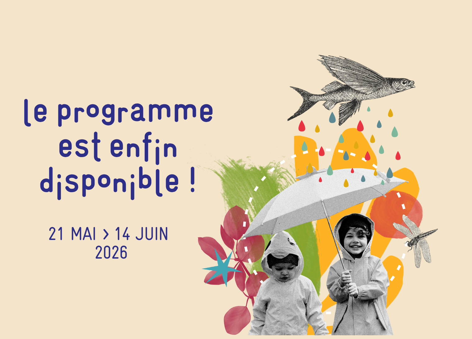 Programme festival 2026